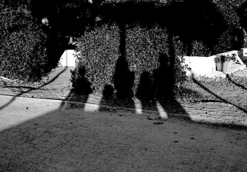 Schizophrenia and aggressive behaviour toward family members