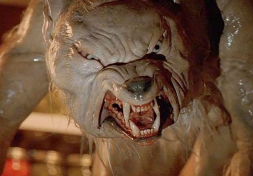 The 12 Most Underrated Werewolf Movies, Ranked By Fans