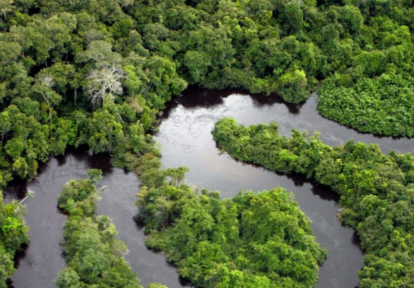 The Amazon Swallowed A Colony Centuries Ago. Archaeologists Just Found It.