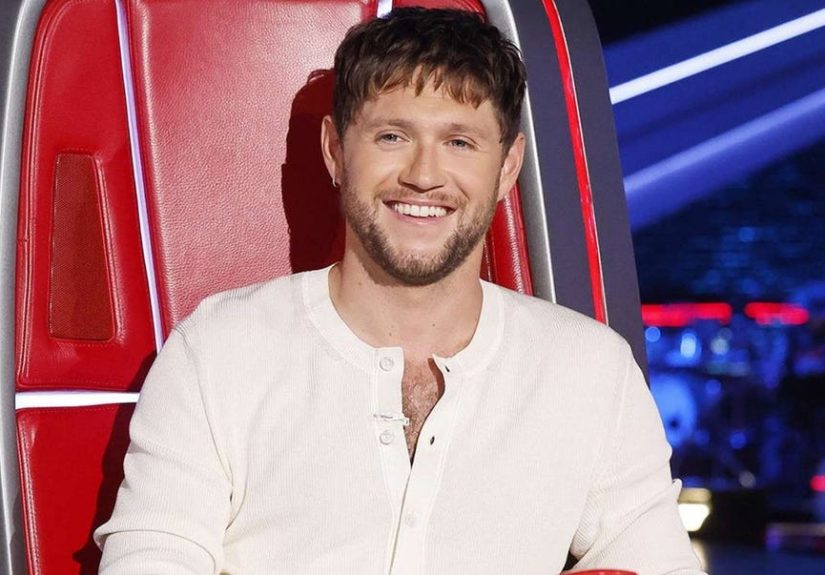 'The Voice' Fans Aren't Ready for Niall Horan's Music News