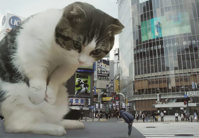 This Guy Photoshops Cats Into Giants And The Result Is Meow-nificent