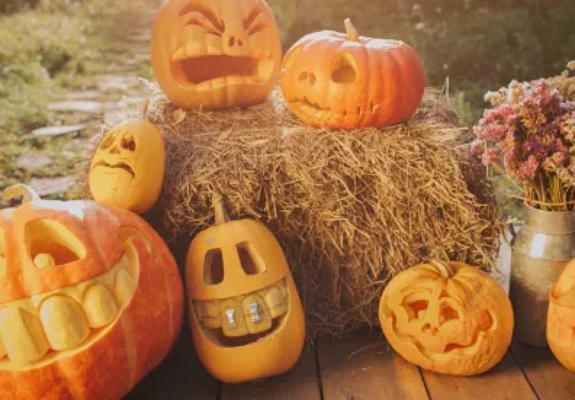 Transforming Raw AI Potential into Results, from Pumpkin to Pie