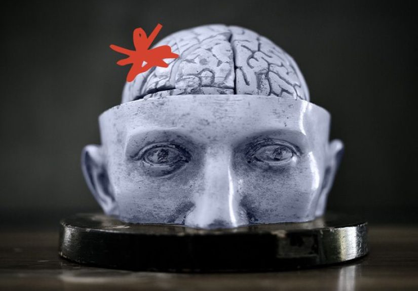 What to Know About Opioid Receptors