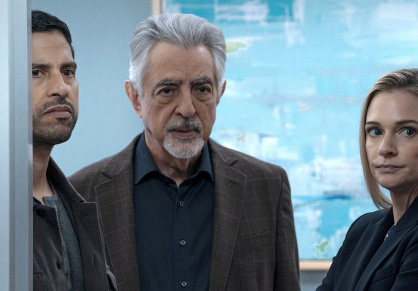 Where to Watch and Stream All Seasons of 'Criminal Minds'