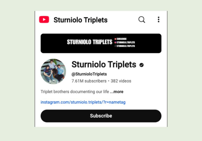 Which Sturniolo Triplet Are You Really? Find Out Here