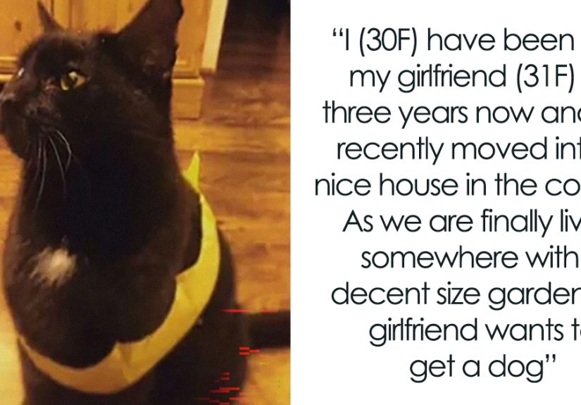 Woman Refuses To Let GF Get A Dog That Would Upset Her Old Cat, Asks To “Let Old Man Grumps Live Out His Days Dog-Free”