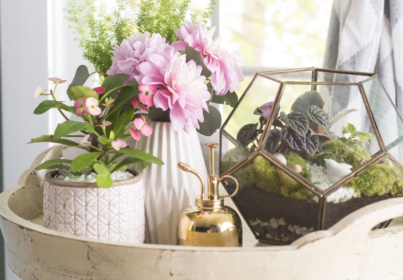 3 Signs Your Houseplants Need a Humidity Boost This Winter