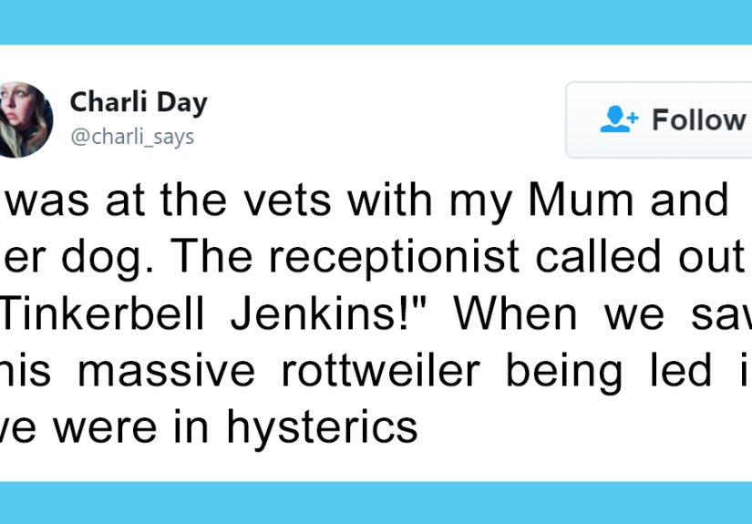 30 People Share The Funniest Pet Names