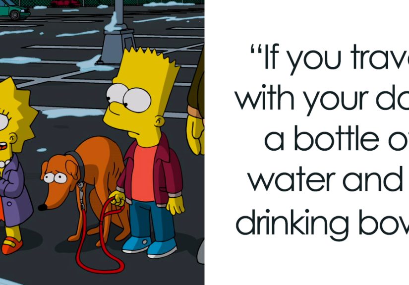 42 Underrated Car Essentials To Stay Ready On The Road