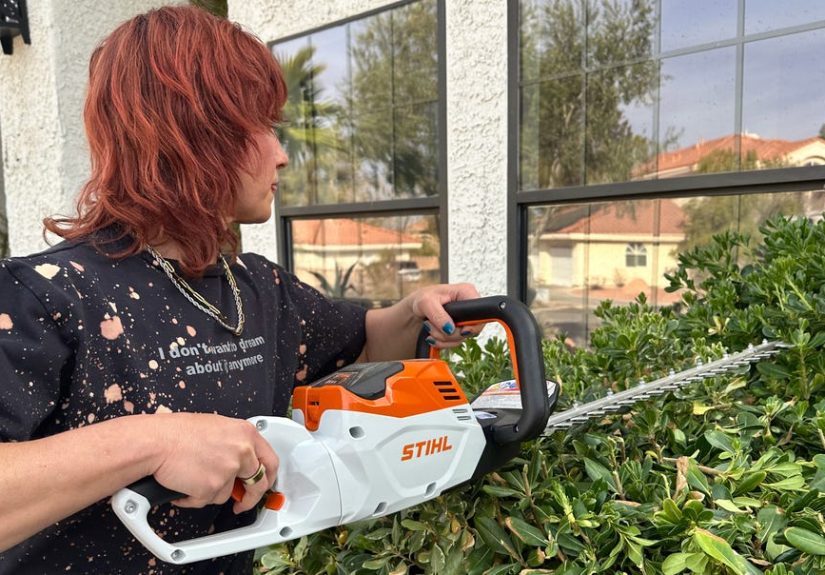 7 Best Hedge Trimmers in 2025, Tested by Experts