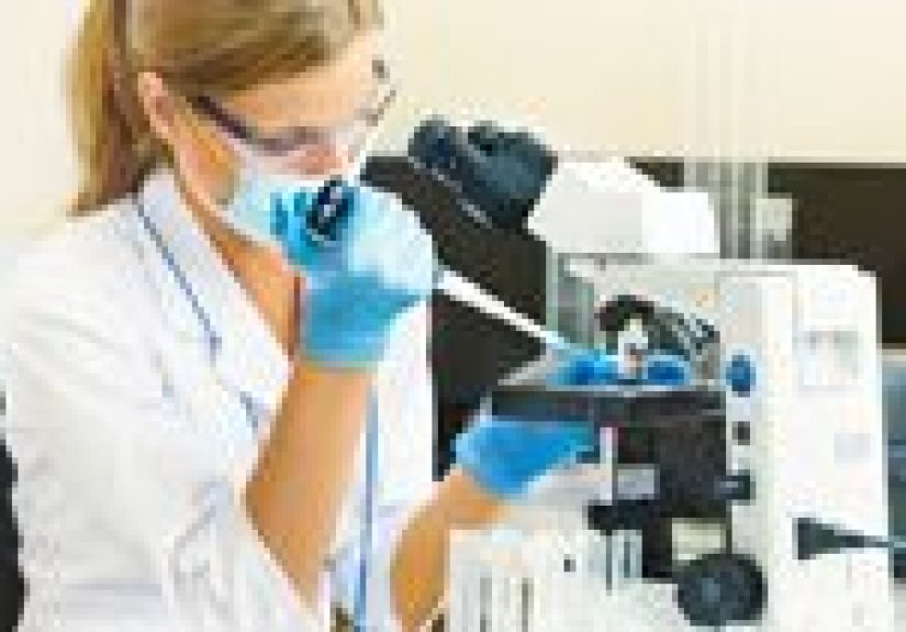 Bird Flu: Symptoms, Causes, and Risk Factors
