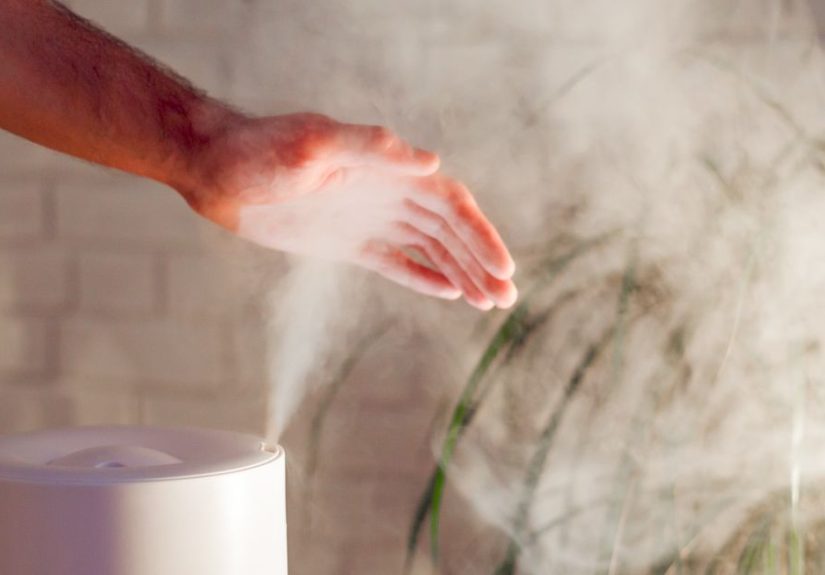 Does a Humidifier Help with Eczema? How to Use and More
