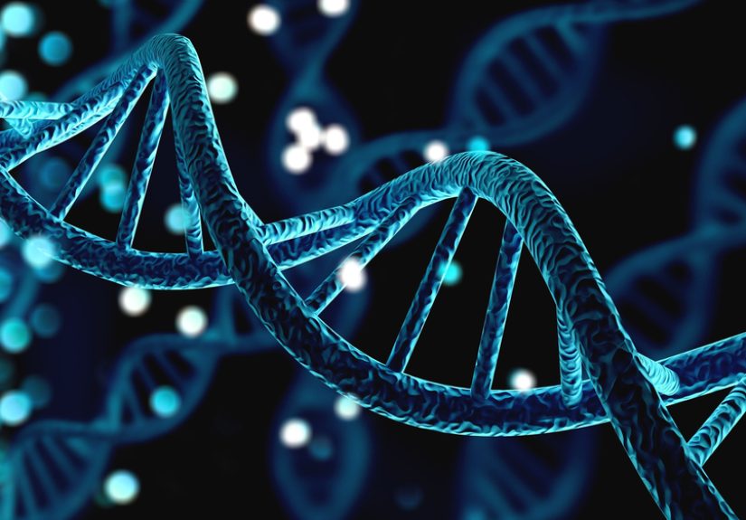 Epigenetics and Our Inheritance to Future Generations