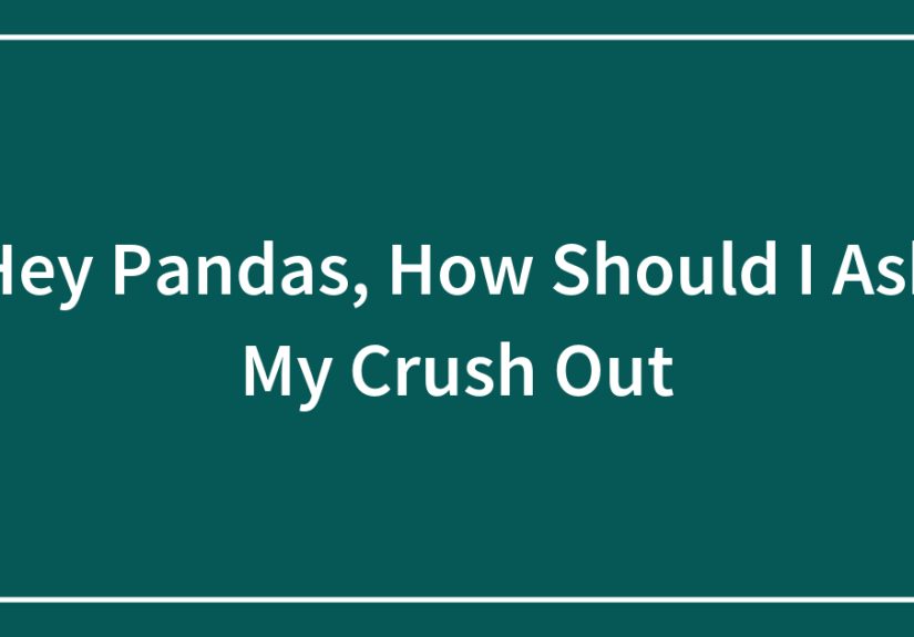 Hey Pandas, How Should I Ask My Crush Out