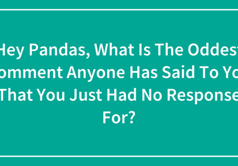Hey Pandas, What Is The Oddest Comment Anyone Has Said To You That You Just Had No Response For?