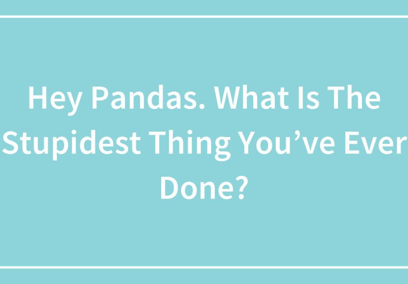 Hey Pandas, What Is The Stupidest Thing You’ve Ever Done?