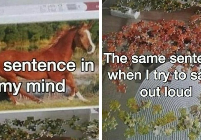 Hey Pandas, What’s Your Best Relatable Meme?