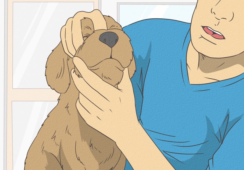 How to Stop a Dog From Snoring: Expert Causes & Treatments