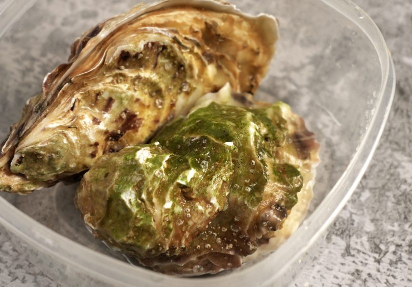How to Store Fresh Oysters: 13 Steps