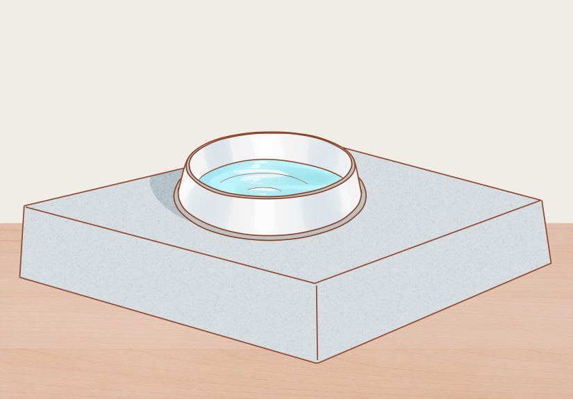 How to Take Care of a Mother Cat Before and After Having Kittens