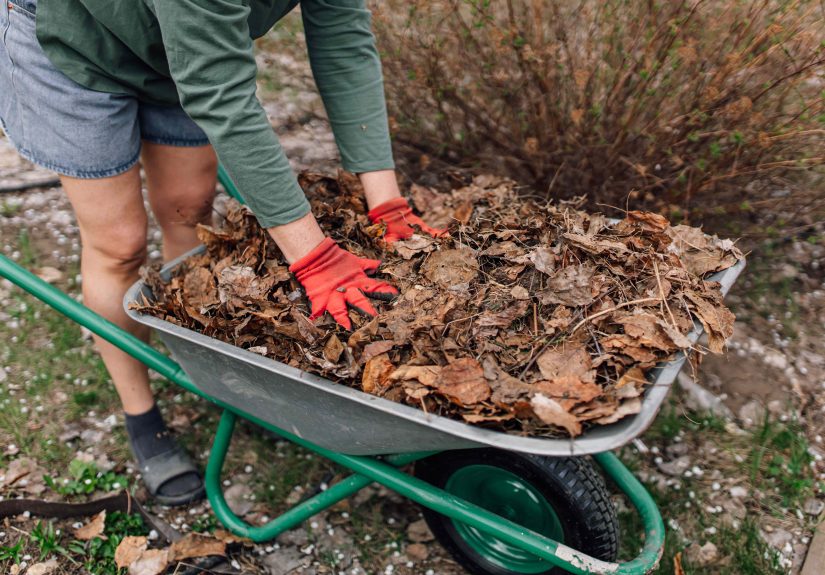 Is It Too Late to Protect Your Plants This Winter? We Asked Gardeners