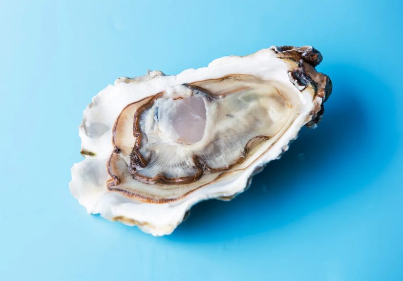 Oysters: Nutrition, Benefits, Risks, and Preparation Tips