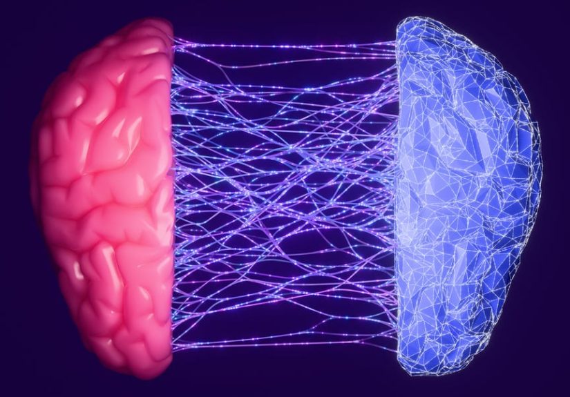 Scientists May Have Discovered Why We Gained Consciousness