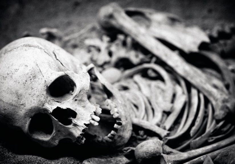 Scientists Uncover a Lost Ancient Lineage in the Colombian Andes